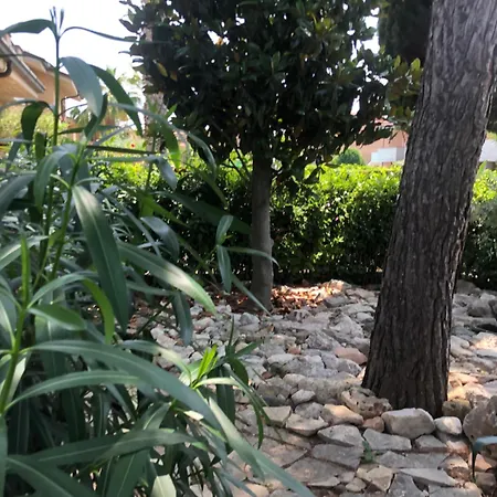 Il Villino Del Sole *