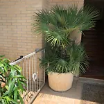 Il Villino Del Sole チヴィタノーヴァ・マルケ